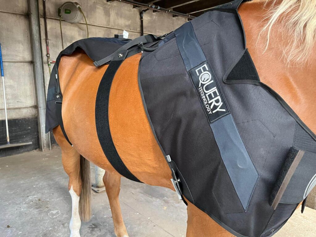 Equery EMS Training door Evi Ansems in regio Breda en Tilburg