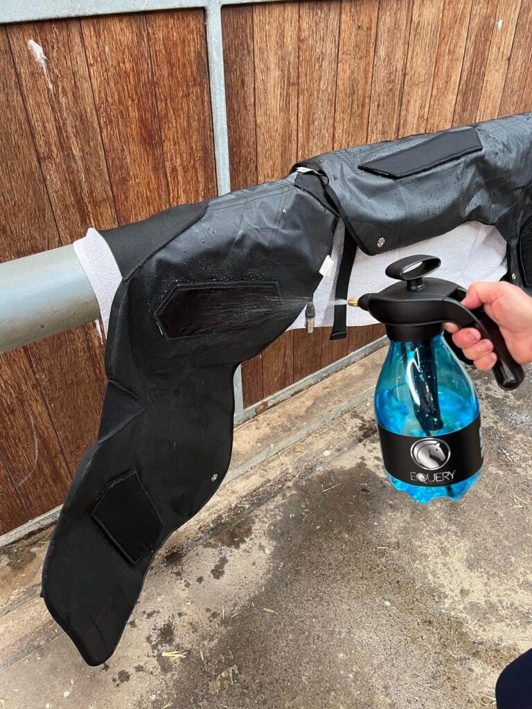 Equery EMS Training door Evi Ansems in regio Breda en Tilburg