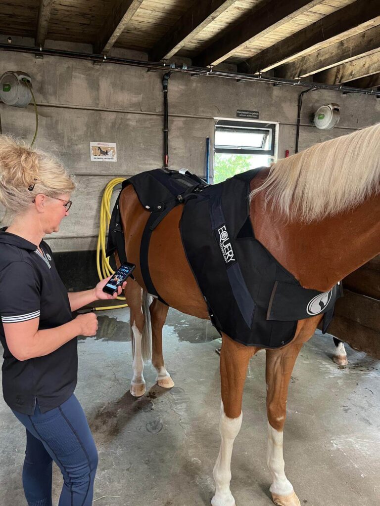 Equery EMS Training door Evi Ansems in regio Breda en Tilburg