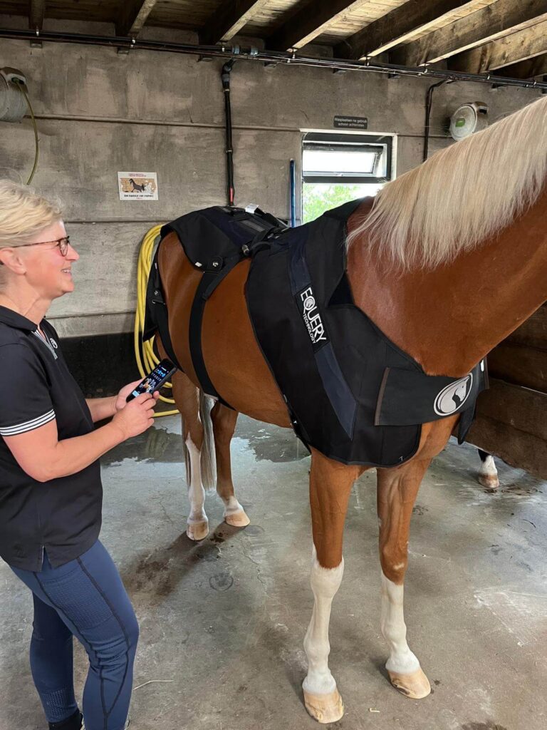 Equery EMS Training door Evi Ansems in regio Breda en Tilburg