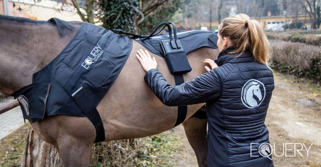 Equery EMS Training door Evi Ansems in regio Breda en Tilburg